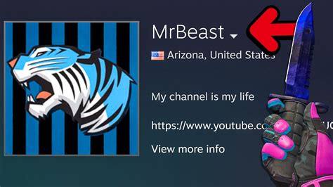 REVIEWING MR BEASTS STEAM ACCOUNT! .